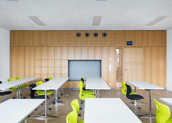 環境に優しい 解体可能な固体隔壁 鉄製 防火板 プライバシー 会議隔壁